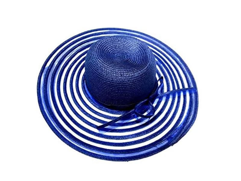 a1